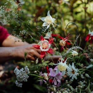 Cours privé 3 heures